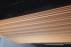 Strip Celing (6)