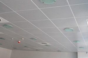 Tray Celing (2)